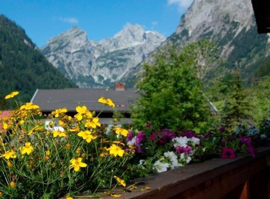 Ferienhaus Rosi Sankt Martin am Tennengebirge Bilik gambar